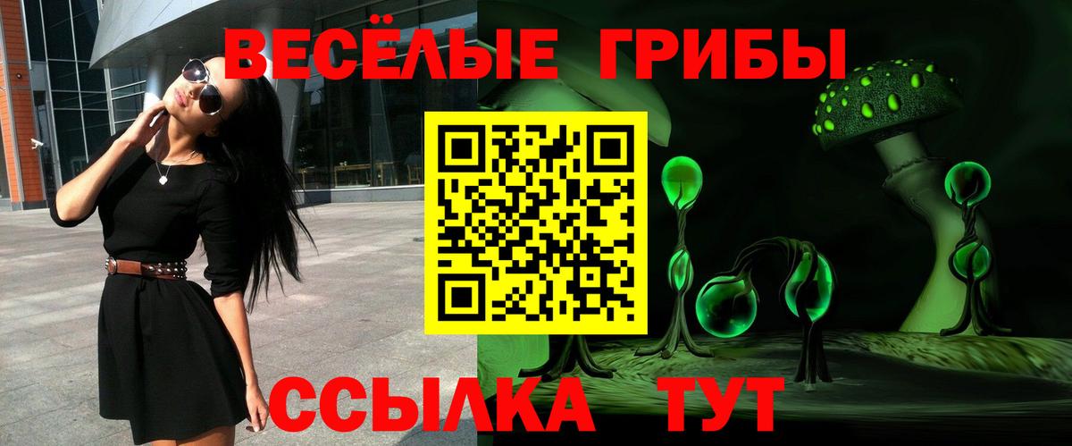 Долгопрудный  Псилоцибиновые грибы Psilocybine cubensis  Галлюциногенные грибы прущие грибы  Вход с VPN 